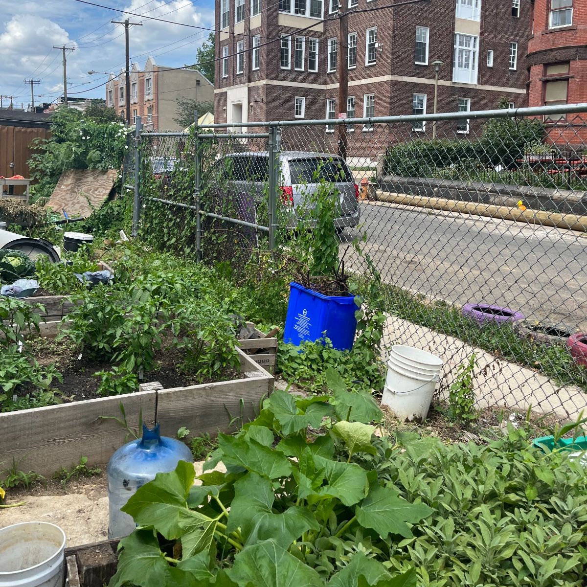 Cloud 9 Community Farms (@Cloud9_Farms) / Posts / X