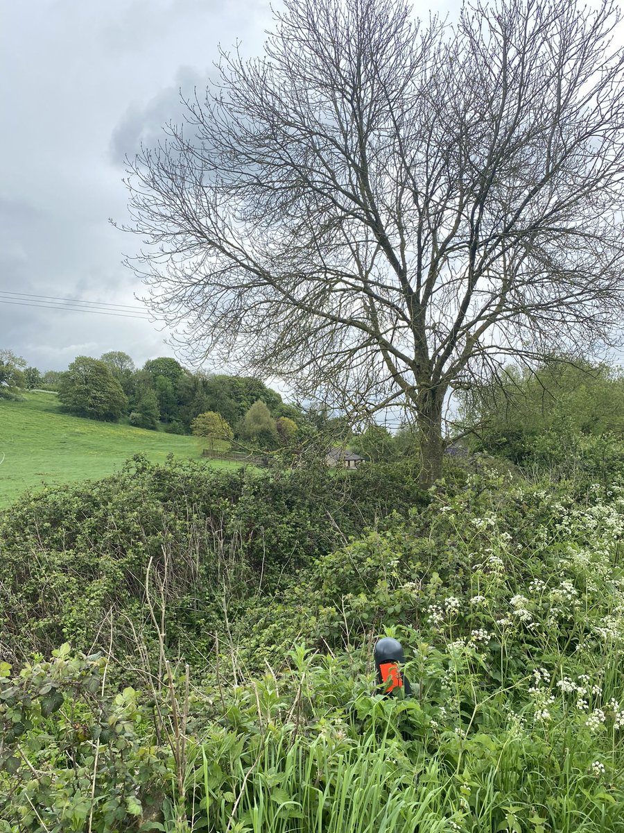 GatePostSign's tweet photo. #bumBattenThursday was a typo, should have been Bump batten; the strip which a gate rests against when closed. I reserve it for the observations I have which don’t fit into the normal hashtags.
Today I give you ‘peek a boo’ bollards, a family carving and climber remnants. https://t.co/E0Ve1TDQZJ