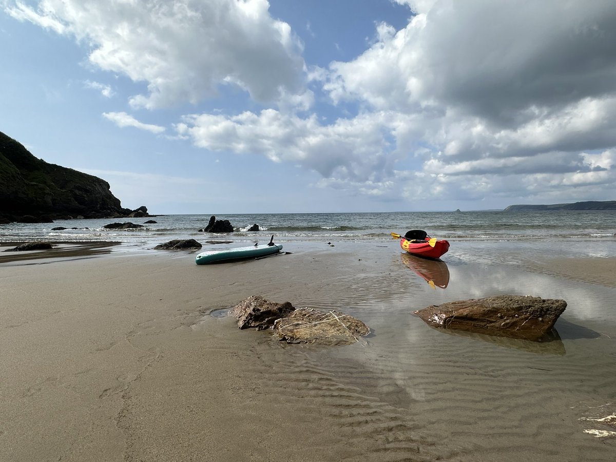 Nick Pritchard tweet media