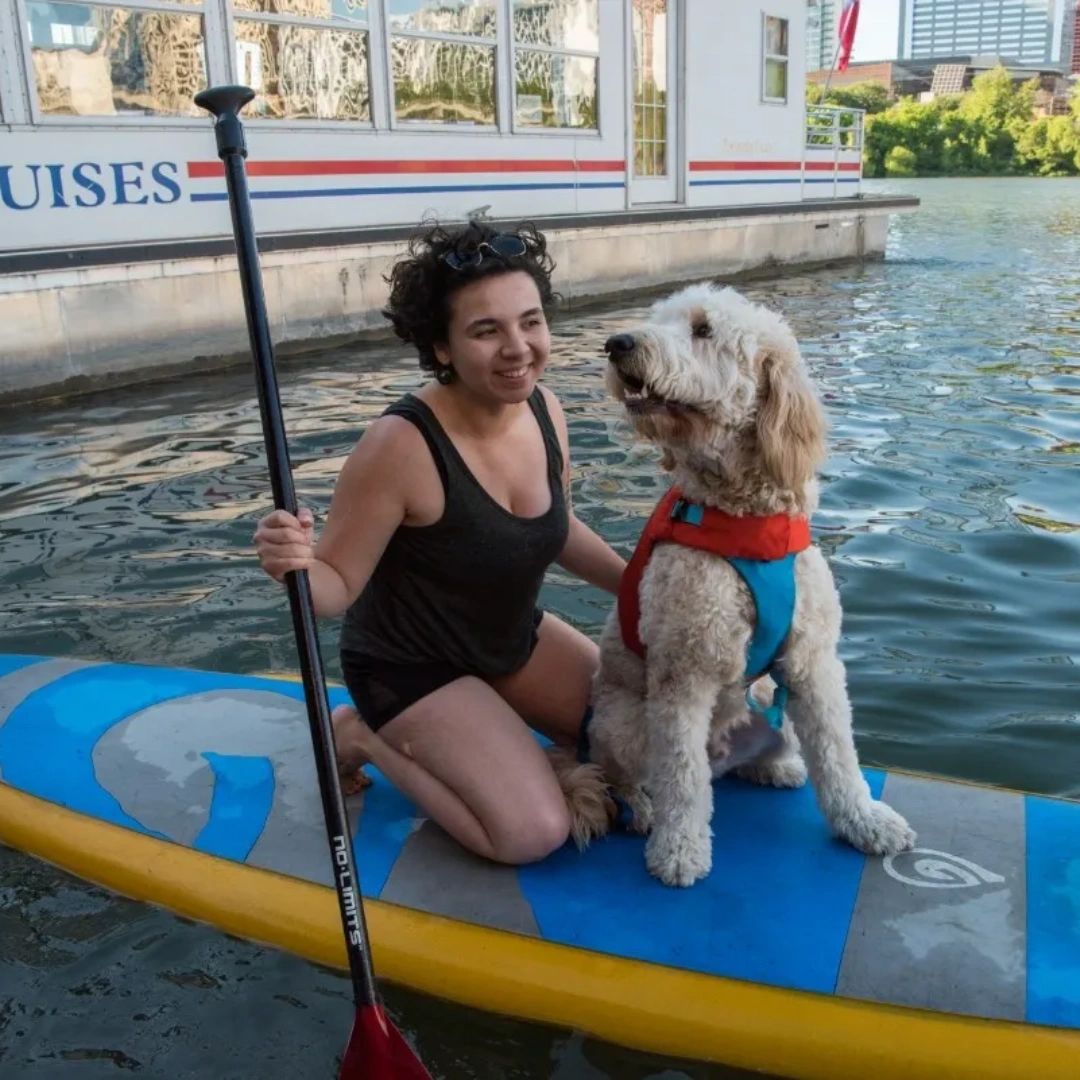 Capital Cruises tweet media