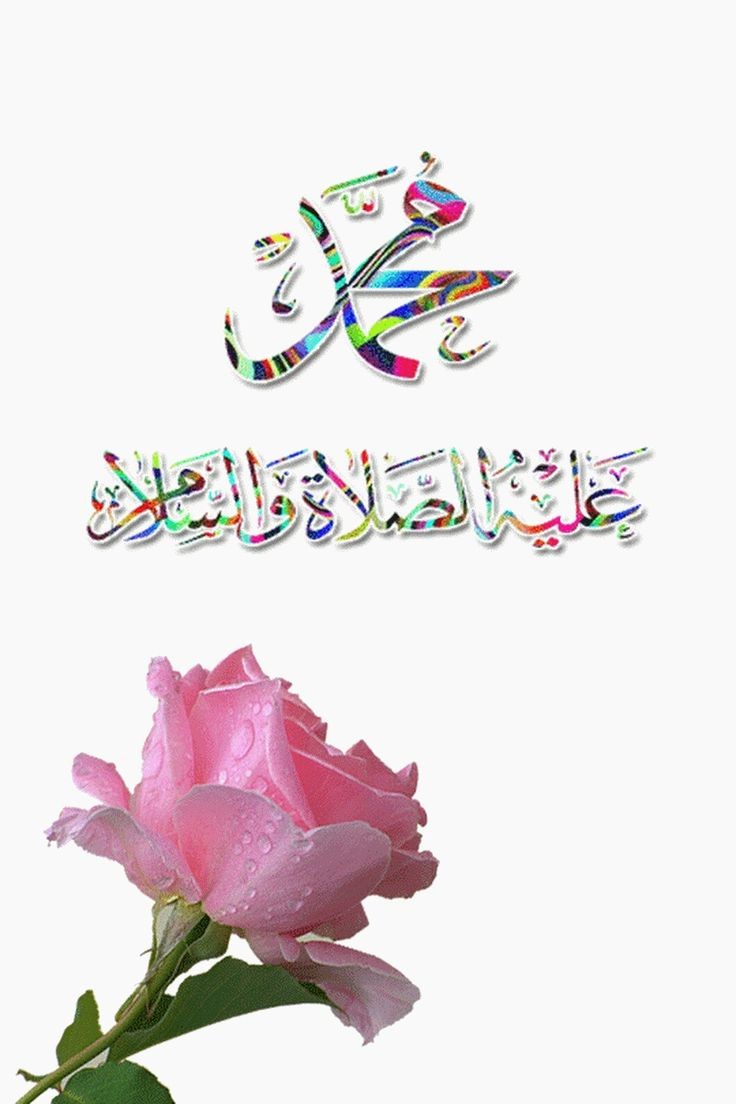 مزوون:🏡 Eng (@_0m01_) on Twitter photo <a href="/AlmjdylyMjahd/">مجاهد المجديلي 🌺</a> <a href="/N21_A3/">د. احمد البابلي</a> <a href="/__hms0/">☆ همســآت ☆مسافرة</a> <a href="/rwra026/">𝒮ℋ𝒲𝒮ℋ .. ♪🇸🇦</a> <a href="/NadeemP06671293/">Nadeem Pathan</a> <a href="/05395M/">محمد الجعفري🇾🇪2</a> <a href="/monasamy164/">monasamy</a> <a href="/_j_i1/">محذوف</a> <a href="/6_n_n/">ٍ</a> <a href="/AlbydanyMsh/">❤️مشعل البيضاني ❤️</a> <a href="/limoncicegim127/">Cicegim</a> <a href="/aboausha11/">ابوعـايشه</a> صل الله عليه وسلّم
وعلي آله الطيبين الطاهرين واصحابه اجمعين 🌻🍀🌻سلمت يمينك اميرنا #مجاهد♡•♡
#قروبات_البابلي_للاضافات
#دعم_مزوون💯🍀
#WhatsApp
#OppenheimerMovie
#العوض_الجميل
#صباح_الخير_والسعاده
#محرم_1445
#عام_هجري_جديد_1445 <a href="/AlmjdylyMjahd/">مجاهد المجديلي 🌺</a> <a href="/N21_A3/">د. احمد البابلي</a> <a href="/__hms0/">☆ همســآت ☆مسافرة</a> <a href="/rwra026/">𝒮ℋ𝒲𝒮ℋ .. ♪🇸🇦</a> <a href="/NadeemP06671293/">Nadeem Pathan</a> <a href="/05395M/">محمد الجعفري🇾🇪2</a> <a href="/monasamy164/">monasamy</a> <a href="/_j_i1/">محذوف</a> <a href="/6_n_n/">ٍ</a> <a href="/AlbydanyMsh/">❤️مشعل البيضاني ❤️</a> <a href="/limoncicegim127/">Cicegim</a> <a href="/aboausha11/">ابوعـايشه</a> صل الله عليه وسلّم
وعلي آله الطيبين الطاهرين واصحابه اجمعين 🌻🍀🌻سلمت يمينك اميرنا #مجاهد♡•♡
#قروبات_البابلي_للاضافات
#دعم_مزوون💯🍀
#WhatsApp
#OppenheimerMovie
#العوض_الجميل
#صباح_الخير_والسعاده
#محرم_1445
#عام_هجري_جديد_1445