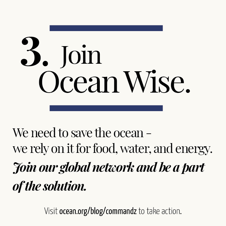 Command Z tweet media