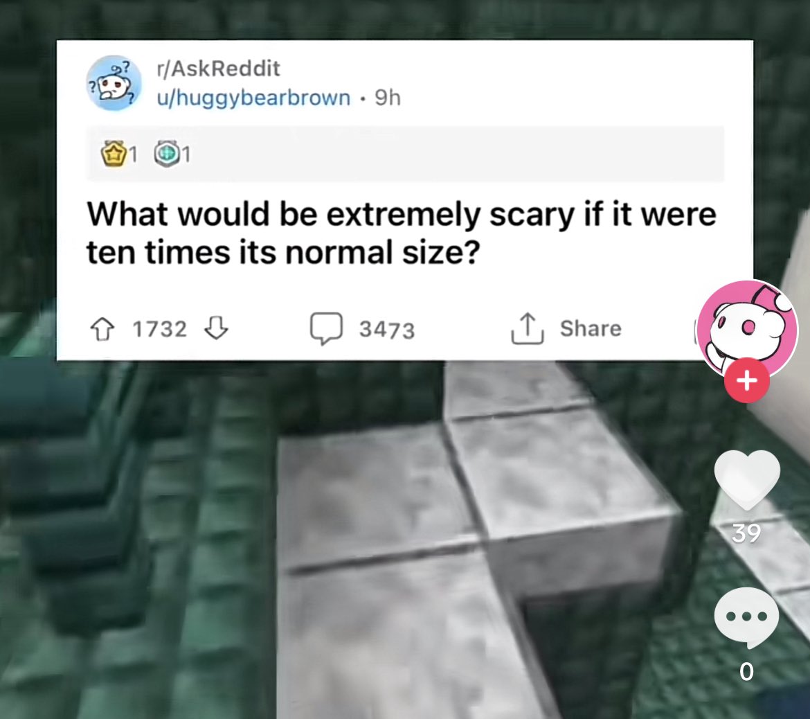 Wild Posts tweet media