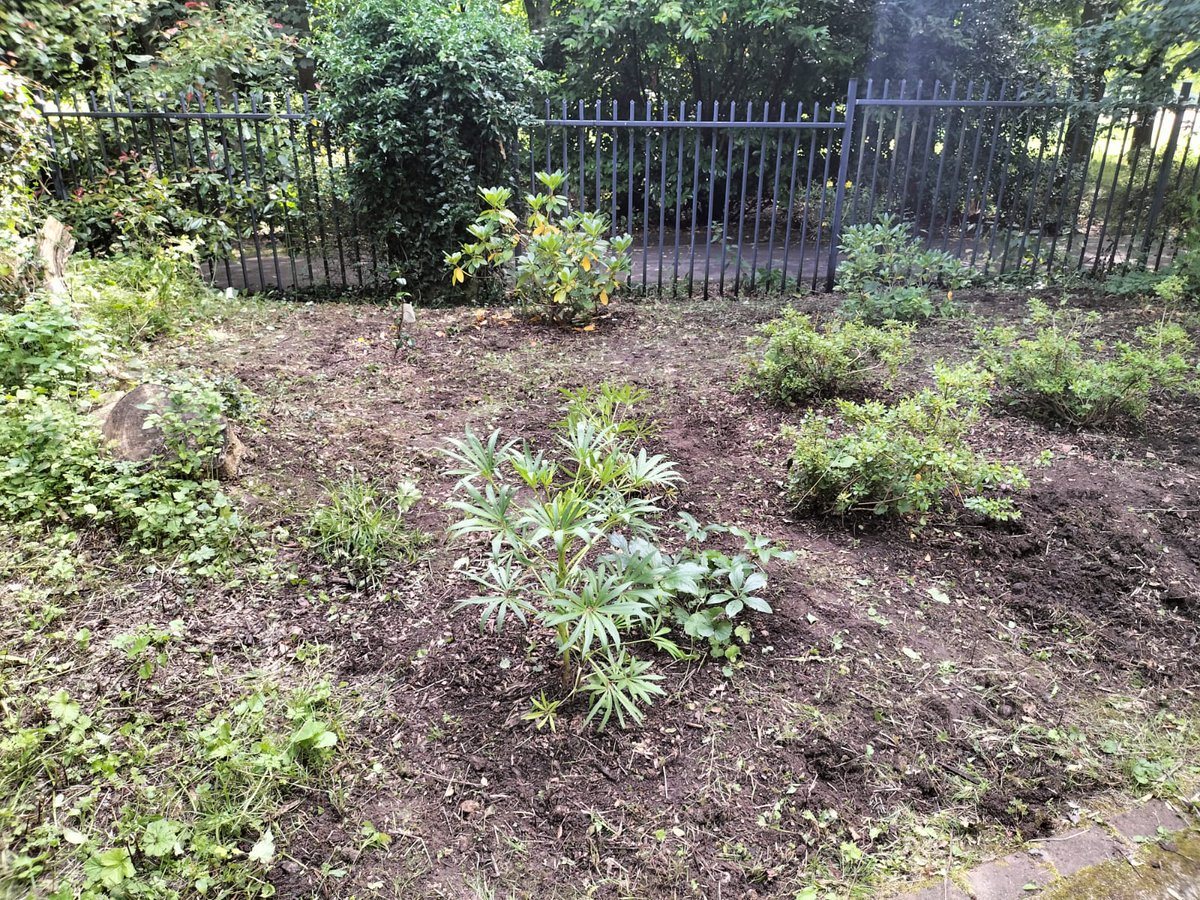 WalkerFosterLaw's tweet image. Our team have had a fantastic afternoon helping out at @Henshaws with some gardening!

Having only recently celebrated one year since the launch of our Harrogate office, we're always keen to support the local community and fantastic charities such as Henshaws.