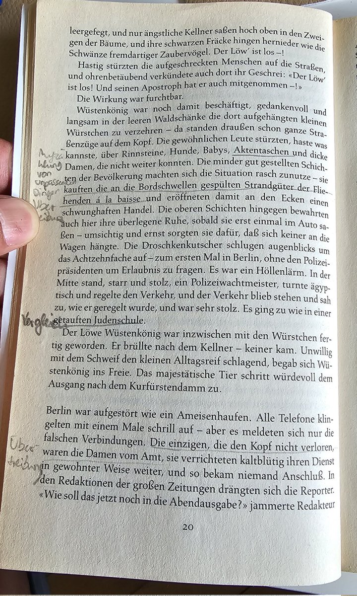 halet2016's tweet photo. #löwen 
#Berlin https://t.co/ph8WKGQyVZ
