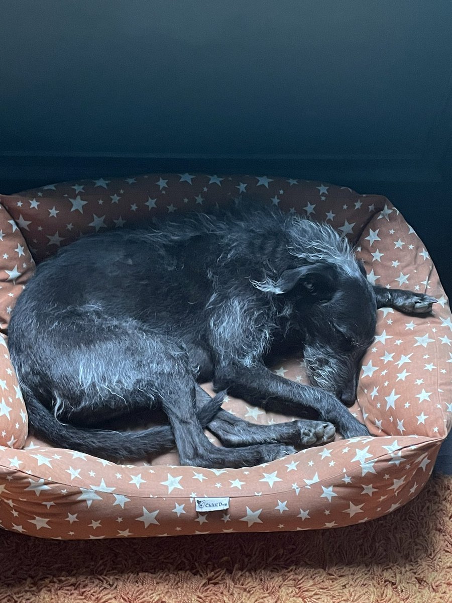 Catriona J Colquhoun tweet media