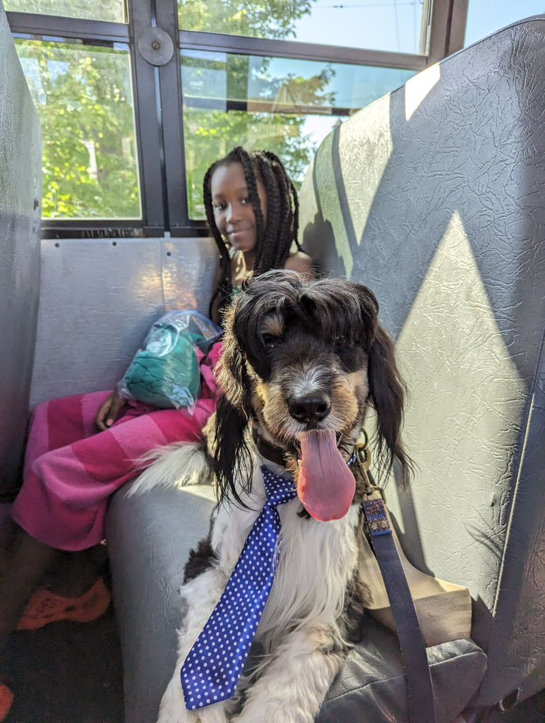 ambevans2's tweet photo. Perrin, our very own therapy dog at Summer Enrichment Program! Thank you, Perrin, for spreading so much love everyday. #KingSCSD https://t.co/o6AcABnKMt