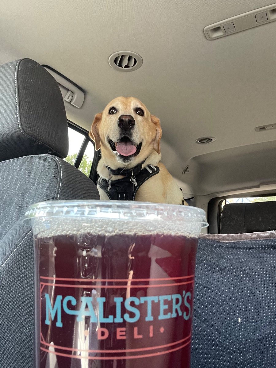 jguelker's tweet photo. Happy #freeteaday @McAlistersDeli to all that celebrate https://t.co/fiV5XraCSs