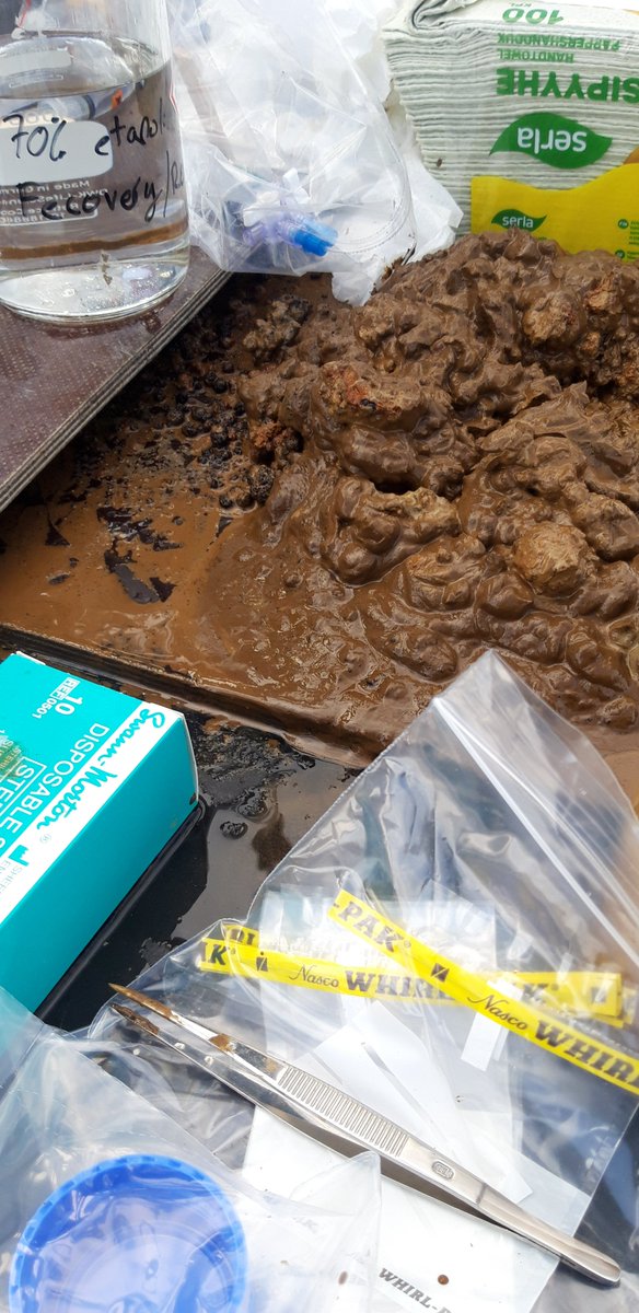 jvirtasa's tweet photo. #rautamangaani saostumien keruu jatkuu Perämerellä.
Keräsin geomikrobiologisia näytteitä ensimmäistä kertaa itsekseni. Analyysituloksista nähdään pian miten meni!
@SuomenAkatemia #Fermaid ja #FeCoVERY -hankkeet.
@GTK_FI #merigeologia #Geomari https://t.co/7geygmZ0lC