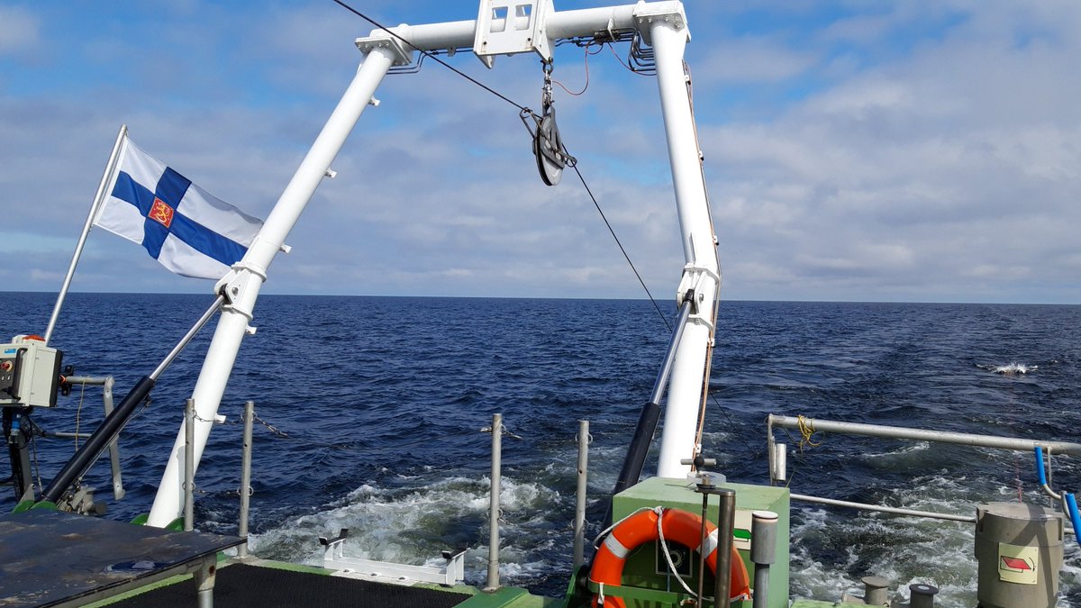jvirtasa's tweet photo. #rautamangaani saostumien keruu jatkuu Perämerellä.
Keräsin geomikrobiologisia näytteitä ensimmäistä kertaa itsekseni. Analyysituloksista nähdään pian miten meni!
@SuomenAkatemia #Fermaid ja #FeCoVERY -hankkeet.
@GTK_FI #merigeologia #Geomari https://t.co/7geygmZ0lC