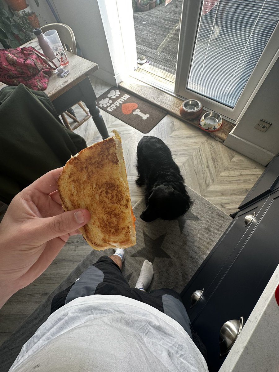 TraderZP tweet media