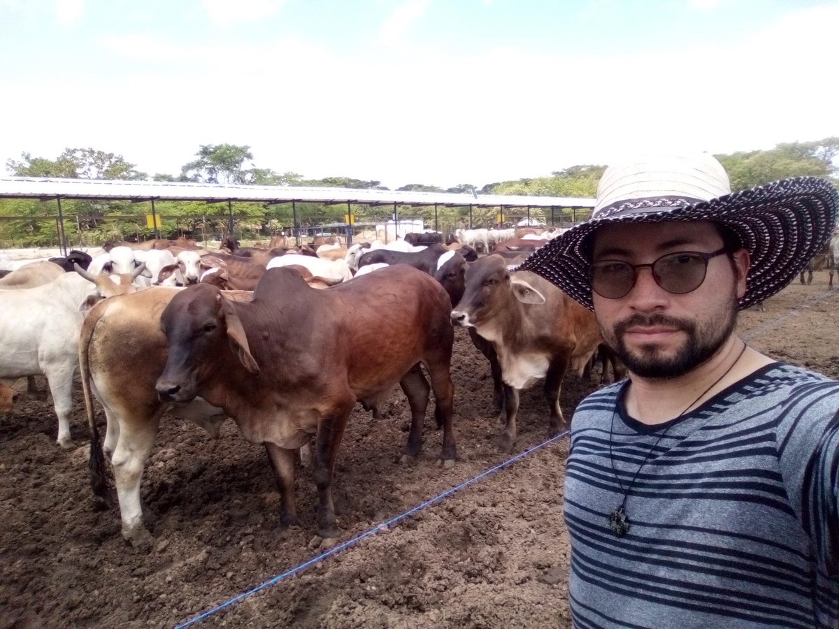 BeefSmart Consulting Inc. tweet media