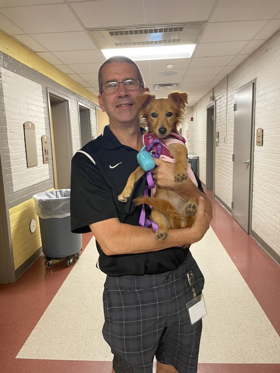 Daisy said she is officially a Timberwolf now! <a href="/OneidaSCSD/">Oneida Middle School</a>