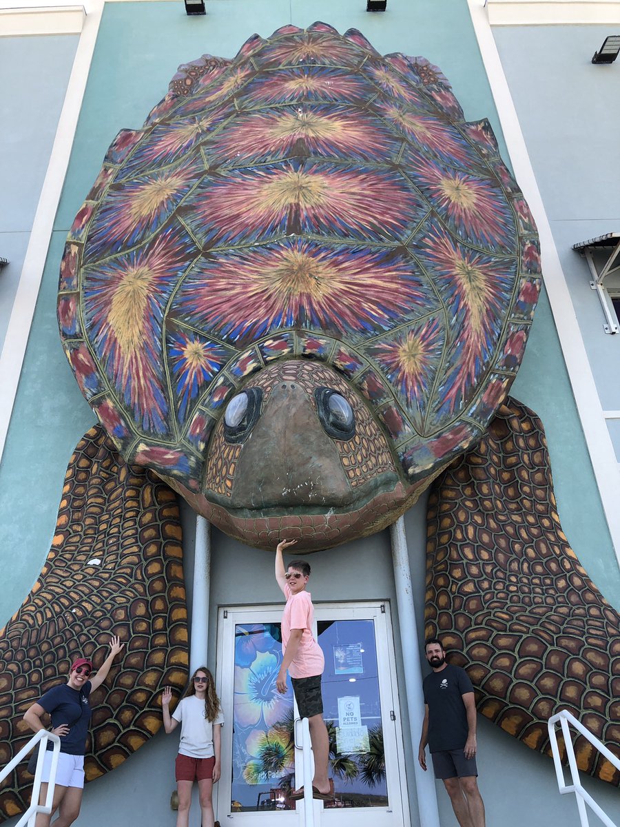 STEMsational_SA's tweet photo. Fun in SPI! #SPIturtletrail https://t.co/7jNWiJfmek