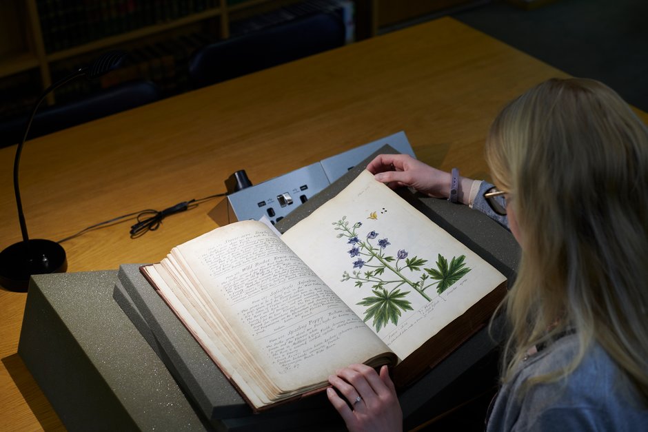RHSLibraries's tweet photo. Could you be our new Collection Development Librarian? 📚 

Work with one of the finest collections of horticultural literature in the world at either our Lindley Library in London, or our Hilltop library at @RHSWisley. 🌱 

Apply today: https://t.co/2wt1nEG4JL https://t.co/Yu5YpbUD92