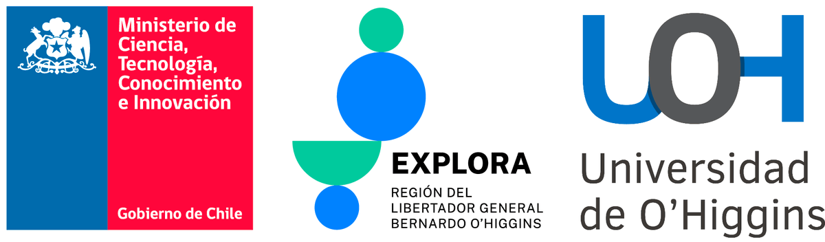 Explora O'Higgins tweet media