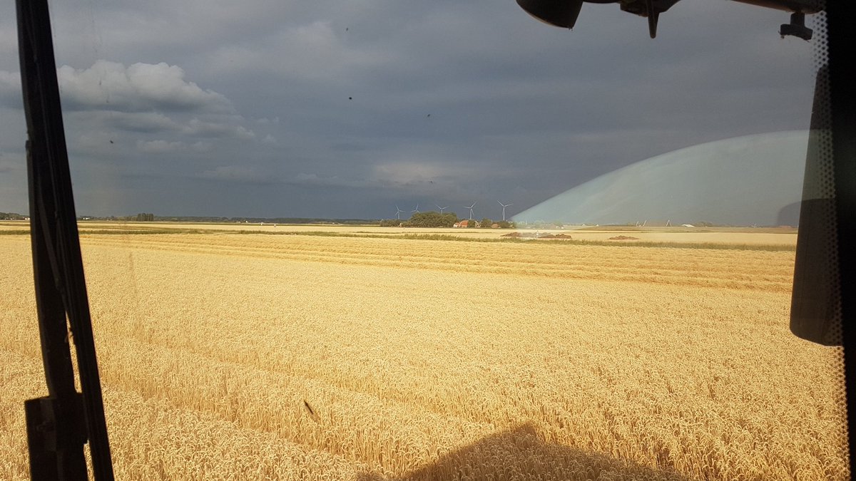 Regent het in de hoekse waard?