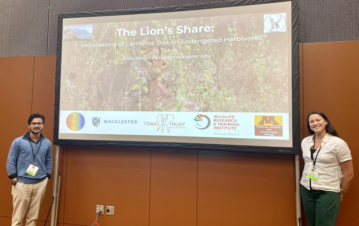 StotraChakraba2's tweet photo. #IMC13 has been phenomenal so far!! An incredible experience to talk about 🦁behavior across multiple populations, however not alone this time, but with my amazing student @elizzza_king #CabLab @Macalester 🦁 @IMammalogy @MammalMeetings @Mammalogists #heymac #proudsupervisor 🥹.. https://t.co/Dg6ivCccDn