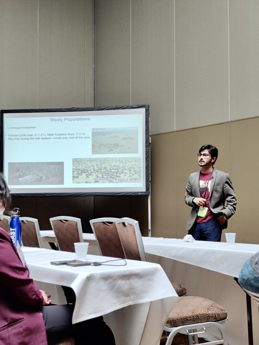 StotraChakraba2's tweet photo. #IMC13 has been phenomenal so far!! An incredible experience to talk about 🦁behavior across multiple populations, however not alone this time, but with my amazing student @elizzza_king #CabLab @Macalester 🦁 @IMammalogy @MammalMeetings @Mammalogists #heymac #proudsupervisor 🥹.. https://t.co/Dg6ivCccDn