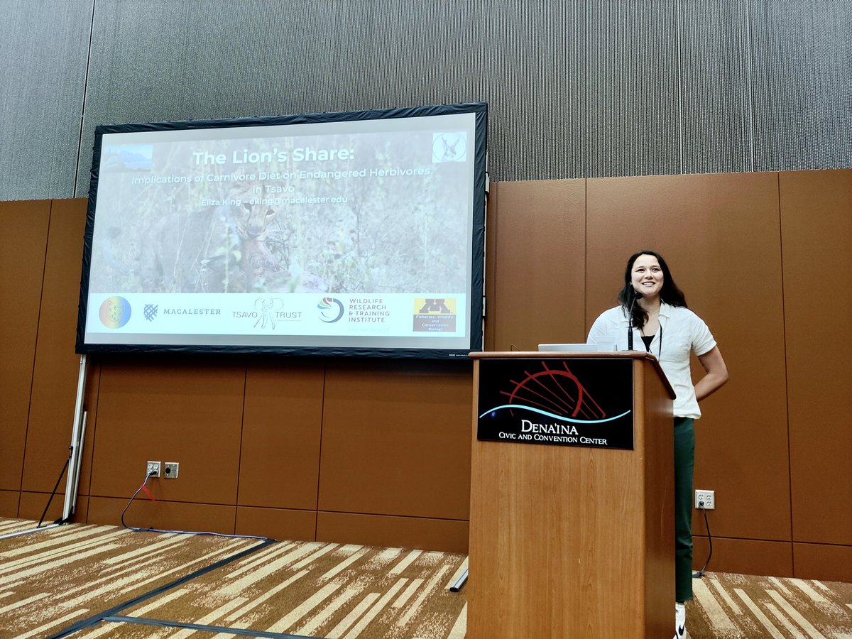 StotraChakraba2's tweet photo. #IMC13 has been phenomenal so far!! An incredible experience to talk about 🦁behavior across multiple populations, however not alone this time, but with my amazing student @elizzza_king #CabLab @Macalester 🦁 @IMammalogy @MammalMeetings @Mammalogists #heymac #proudsupervisor 🥹.. https://t.co/Dg6ivCccDn