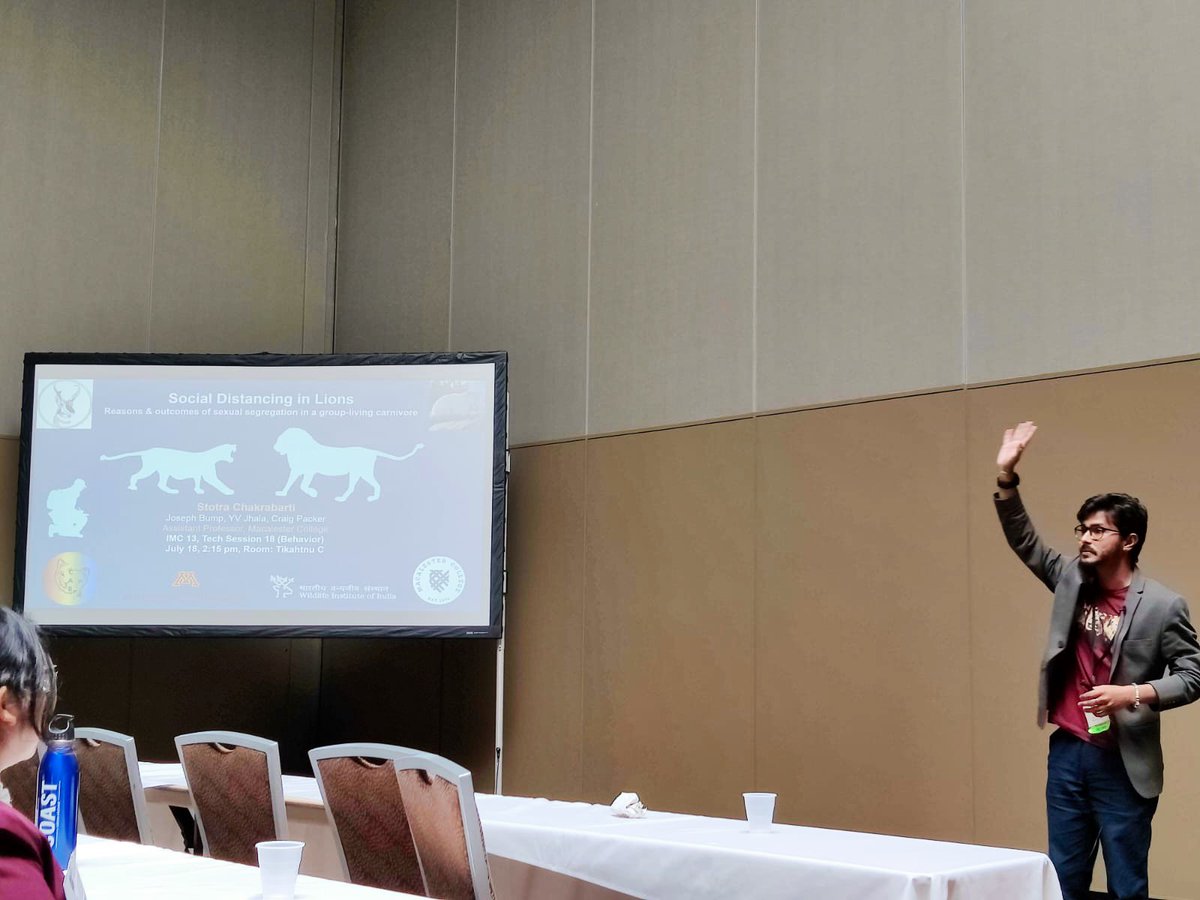 StotraChakraba2's tweet photo. #IMC13 has been phenomenal so far!! An incredible experience to talk about 🦁behavior across multiple populations, however not alone this time, but with my amazing student @elizzza_king #CabLab @Macalester 🦁 @IMammalogy @MammalMeetings @Mammalogists #heymac #proudsupervisor 🥹.. https://t.co/Dg6ivCccDn