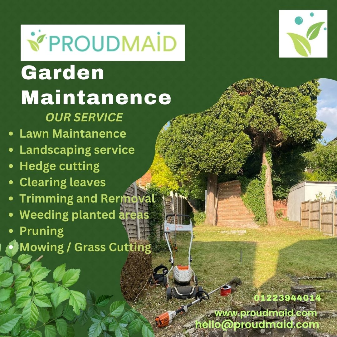 #Gardenmaintenance
#Gardencare
#Lawncare
#Greenthumb
#Gardeningservices
#GardenersUK
#Outdoorspaces
#Gardenlife
#Beautifulgardens
#Gardenersoftwitter
#Gardengoals
#Horticulture
#Landscapingservices
#Gardenmakeover
#Gardeninspiration
#Gardentips
#Urbangardening
#Gardenrenovation