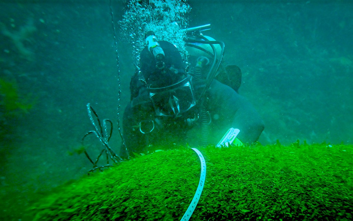 RoyalCanNavy's tweet photo. Loaded with Second World War ordnance, these shipwrecks now rest beneath the waves along Newfoundland's coast. Maritime Explosive Ordnance Disposal Divers from the Fleet Diving Unit (Atlantic), alongside Port Inspection Divers from #HMCSCabot, have surveyed the underwater debris. https://t.co/KsS1FT2be0