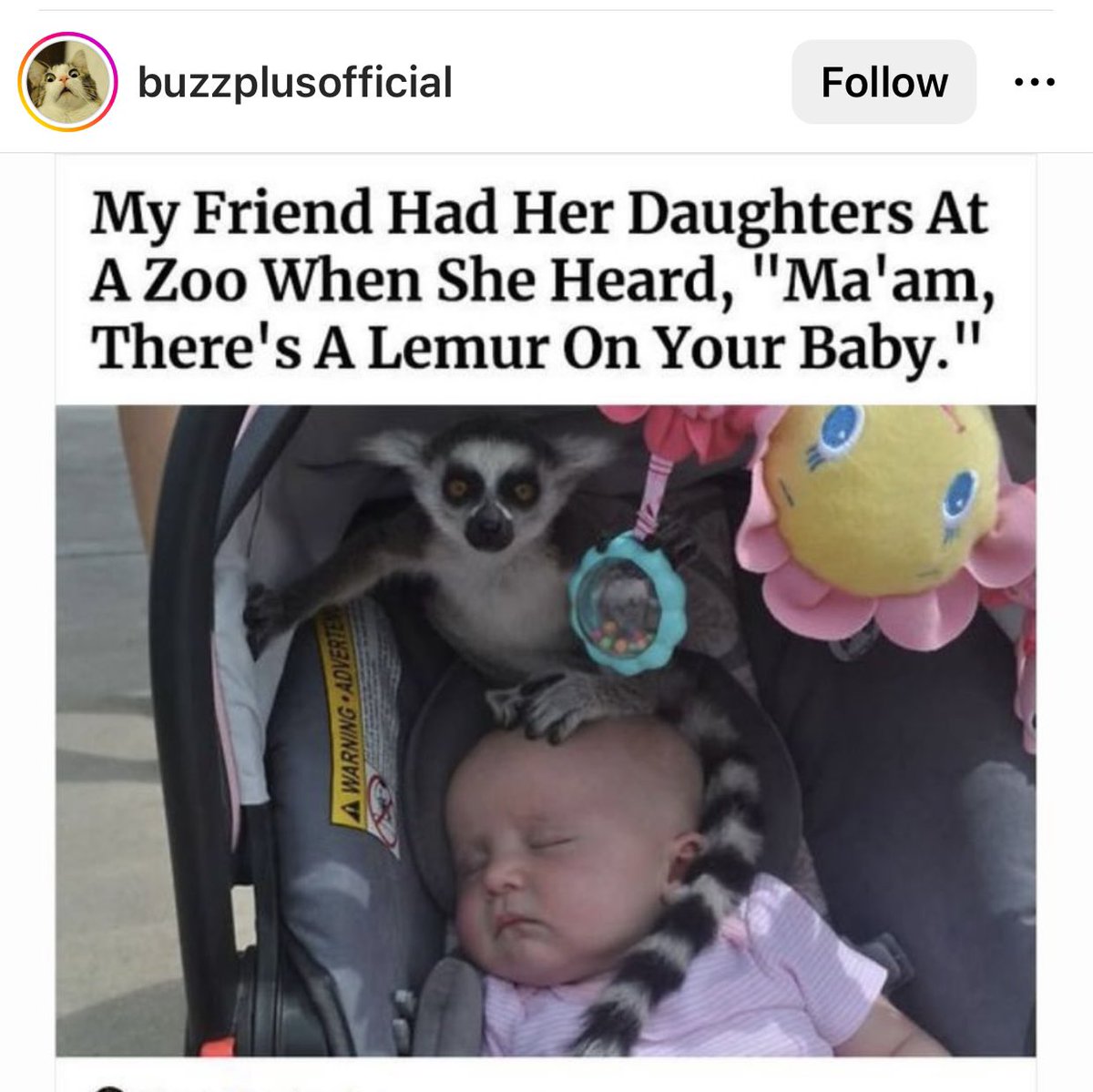 Be right back, going to the Zoo…