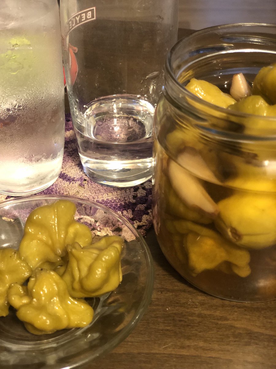 ⁦<a href="/balikcikedisi/">Balıkçı Kedisi</a>⁩