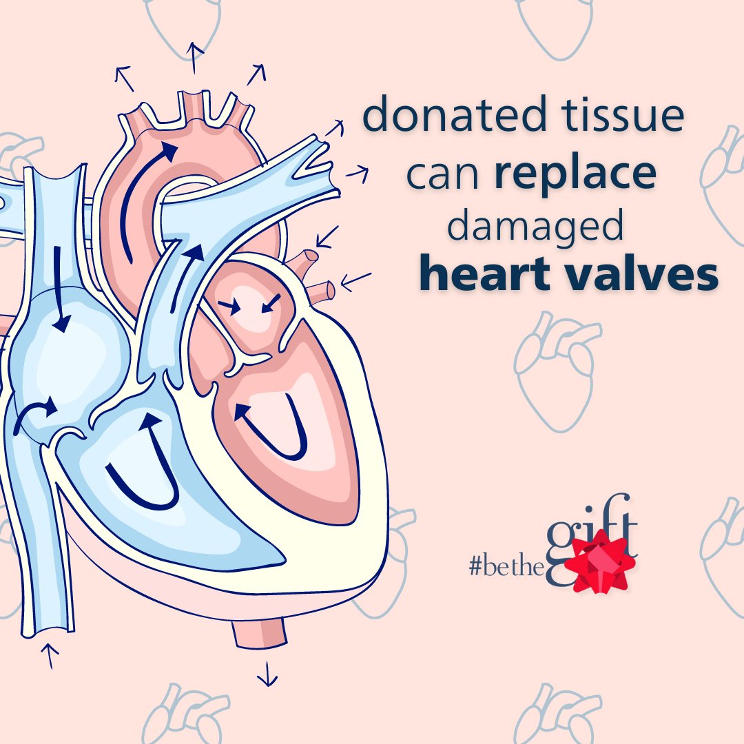 #DidYouKnow heart valves are one of the many tissues that improve a recipient's life?

This tissue is used to replace defectives valves, often in children, allowing them to grow up strong and healthy!

#BeTheGift today by registering to be a donor at DonateLifeTN.org.