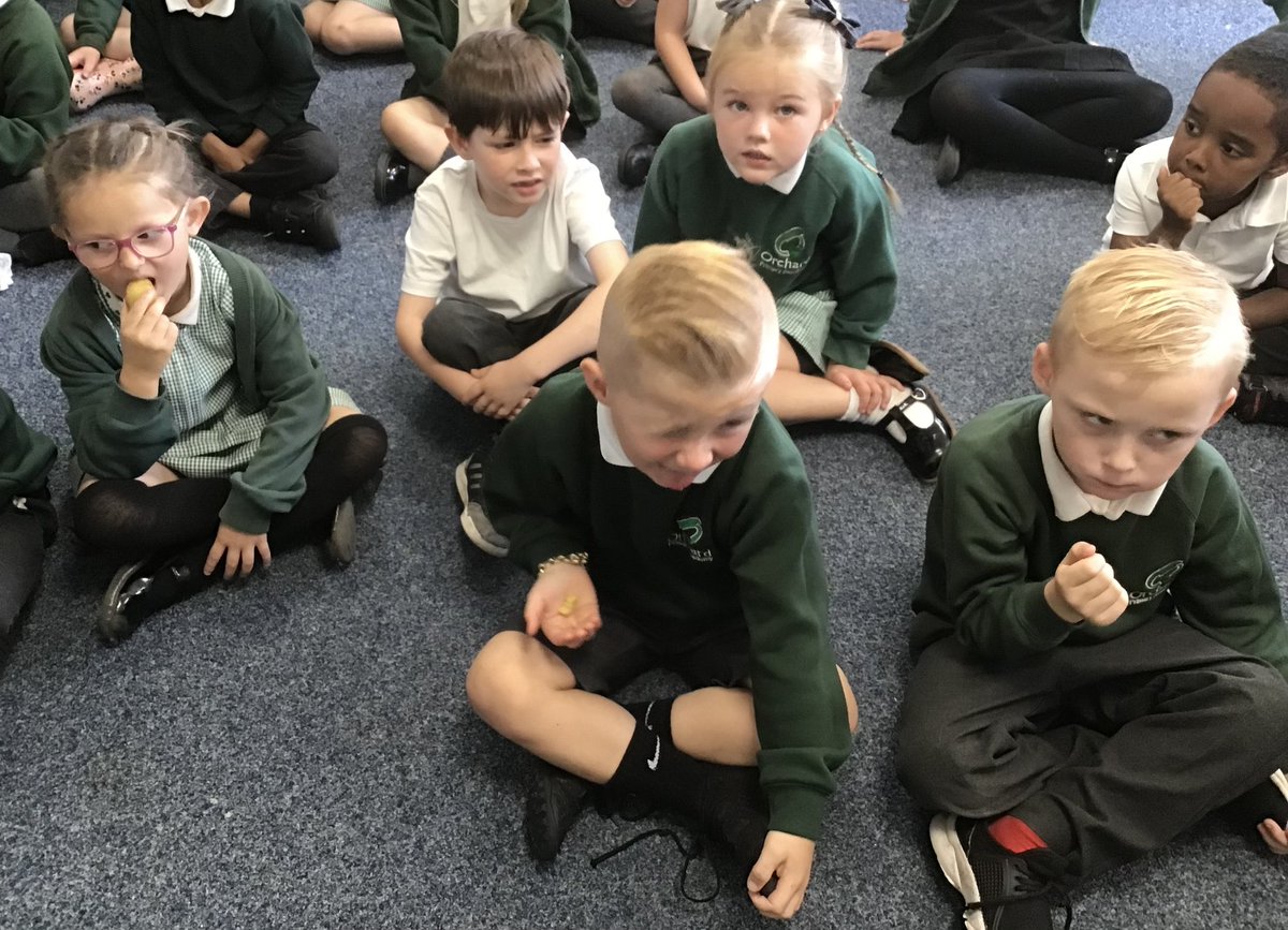 hazel_orchard's tweet photo. Yesterday we had fun harvesting our potatoesπ₯. Today we got the chance to taste them! Some loved them, others not so much! #scienceatOrchard @orchard_maple @OrchardPrimaryA @TeamPastoral https://t.co/WIoQLn0JwV