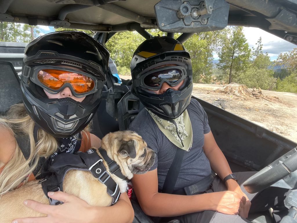 Emma Waldron Chen tweet media