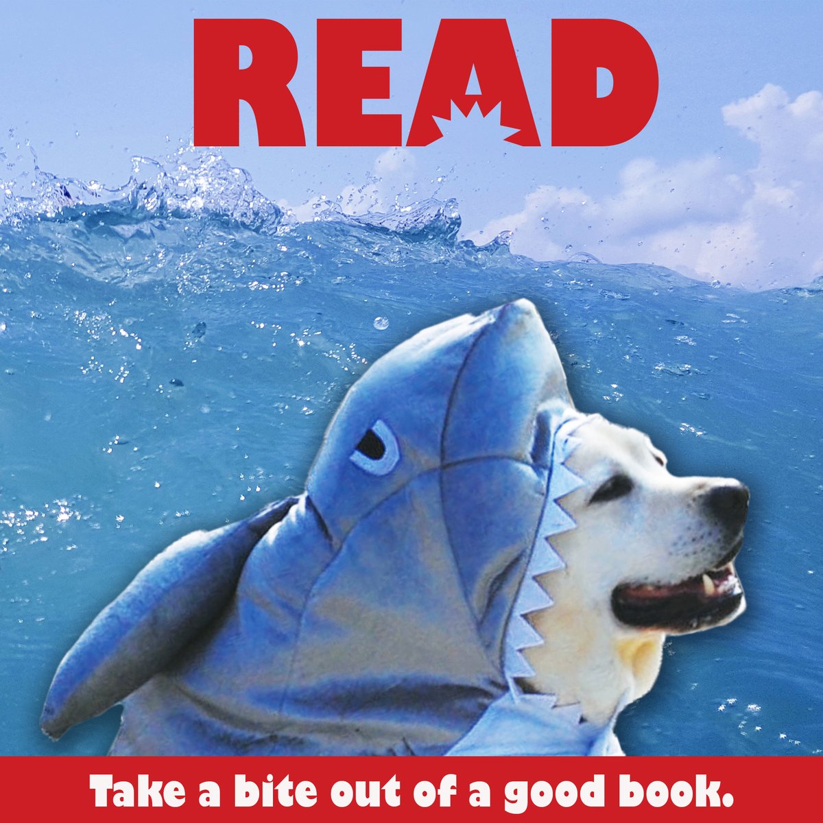 Danny Shark 🦈 - mailchi.mp/maryruthbooks/…