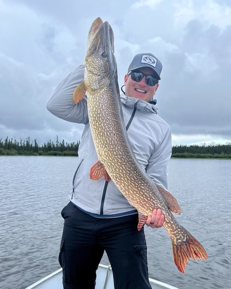 Manitoba is home to the oldest Master Angler program in North America, 65 years old and still going strong, don't forget to submit your catch and your chance to enter the record books! ow.ly/AHoP50Phl72

📸<a href="/Dunlopslodge/">Dunlop's Fly-In Lodge & Outposts</a> 

#mloa #huntfishmb