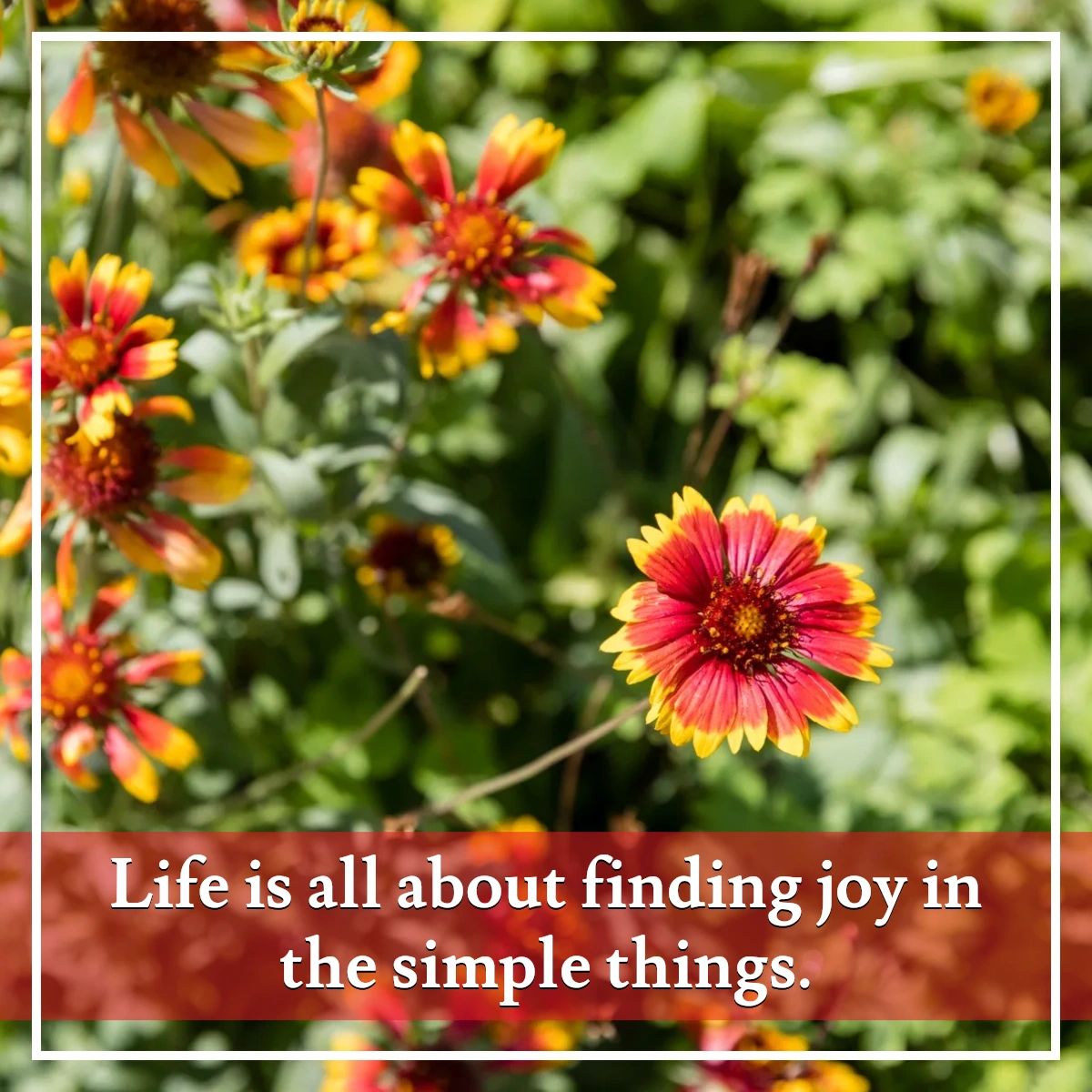 PaulaASmith's tweet photo. When I'm not hustling in the real estate market, I find solace in my organic garden and spend quality time with my fur babies, Tucker and Molly. 🐾 Can you think of something you enjoy that brings a sense of balance to your life? 🌿 Feel free to share in the comments below! 👇 https://t.co/koYb0bYxMJ