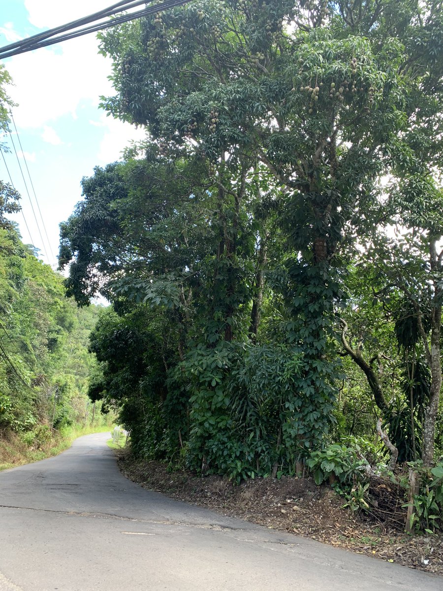 Another good read in a remote location in Costa Rica.