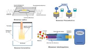 Gladis Arboleda tweet media