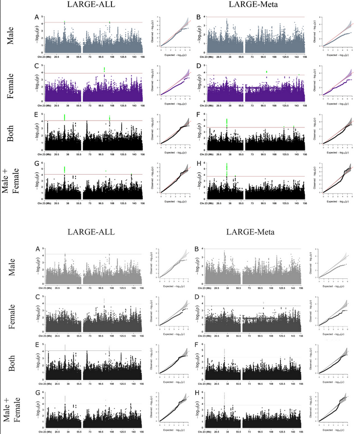 New study from <a href="/nachogenePD/">Nacho Mata</a> &amp; <a href="/LARGE_PD/">LARGE-PD</a> colleagues shows the importance of X-chromosome &amp; diverse populations in genetic studies; Using 1498 individuals from 5 Latin American countries, they found 8 regions associated with #Parkinsons; Replicated rs5525496
…mentdisorders.onlinelibrary.wiley.com/doi/10.1002/md…