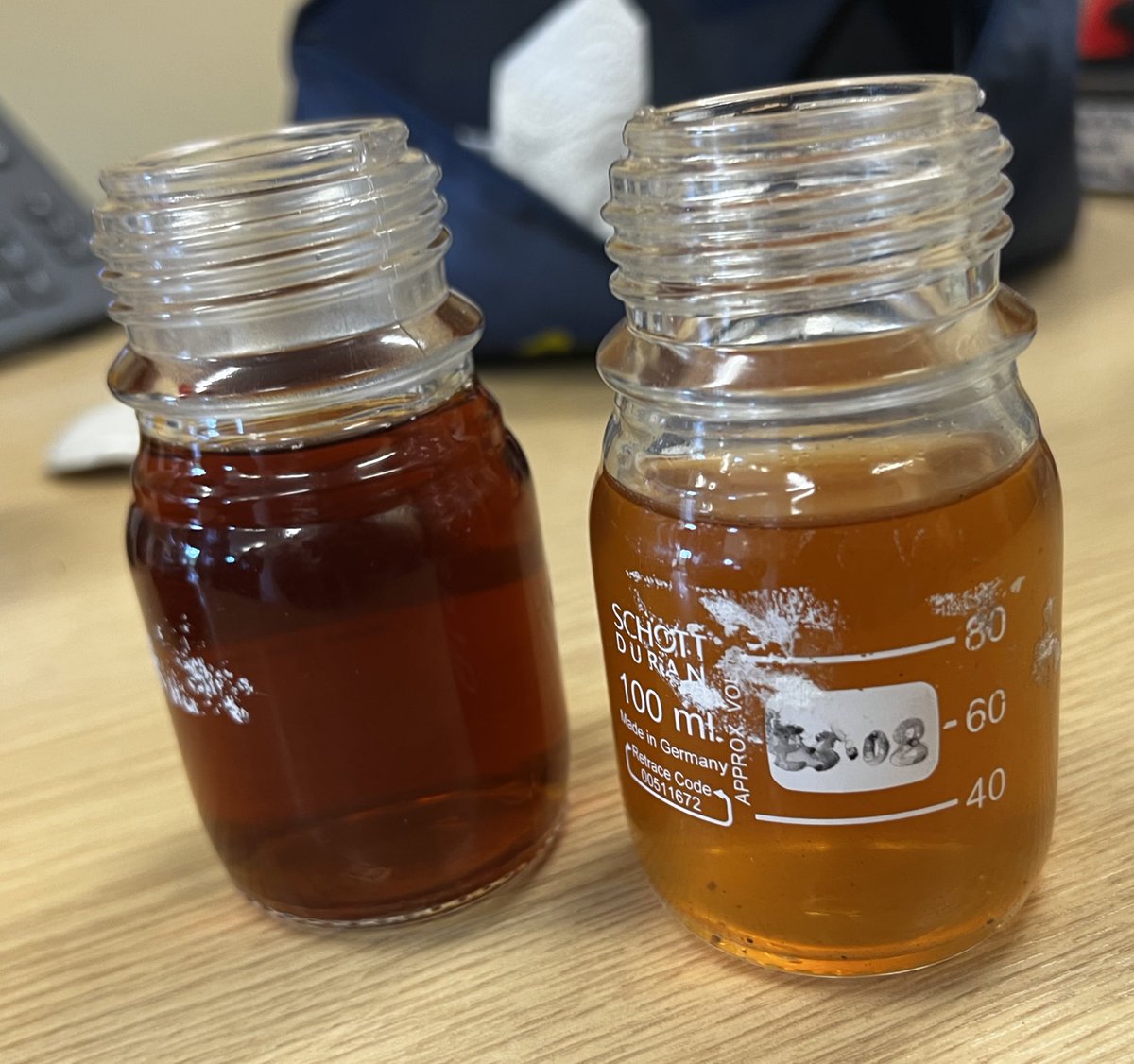 Natalie Homer tweet media