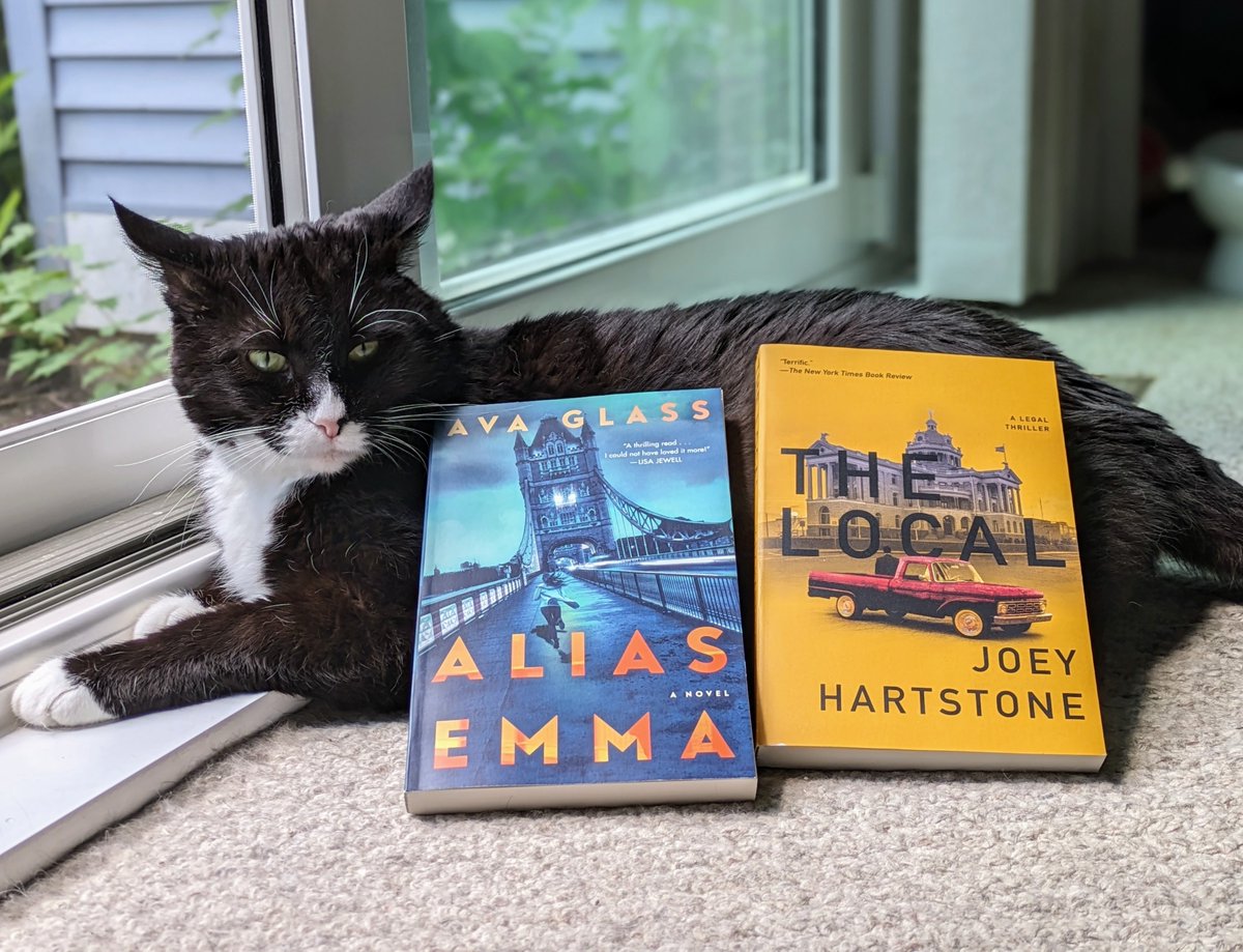 UncleT_Bag's tweet photo. Couple great finds @BNmadisonwest! I've had my eye on #TheLocal by @jchartstone, a fun legal #thriller! #AliasEmma by @AvaGlassBooks caught my eye because it looks like an incredible spy thriller with a chase across London evading all cameras and technology. #CatsOfTwitter https://t.co/HId9pBGUjH