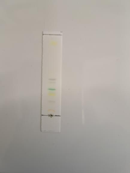 Miss Bird tweet media