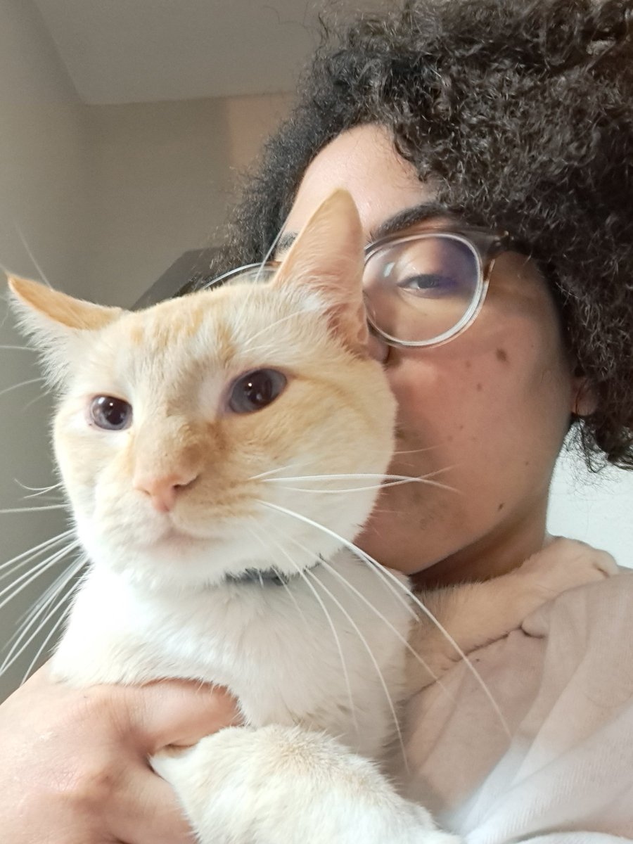 Day (she/they) 💛🤍💜 tweet media