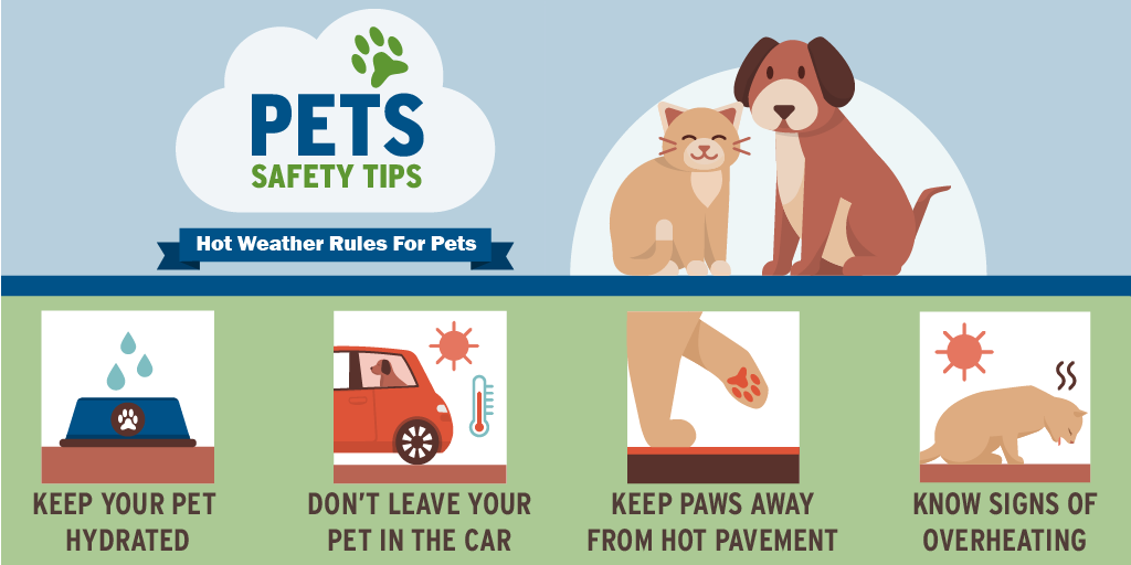 Remember these pet tips as temperatures start rising: 💧Give them plenty of fresh, clean water 🚗 Never leave your animals in a parked vehicle 🐾 Keep walks short &amp; try to walk during early mornings/late evenings when it is cooler. #manhattanbeachcity #HeatSafety #SummerSafety