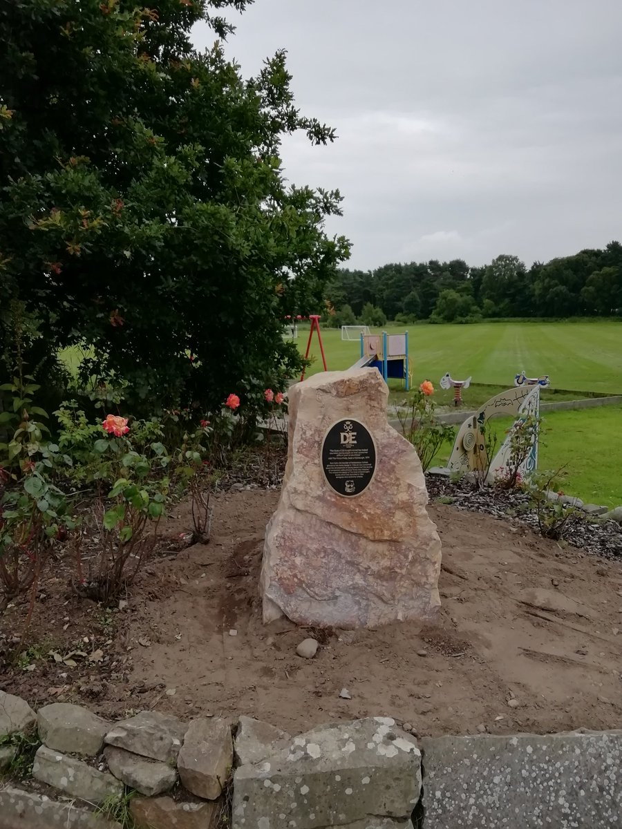 Karen Delaney tweet media