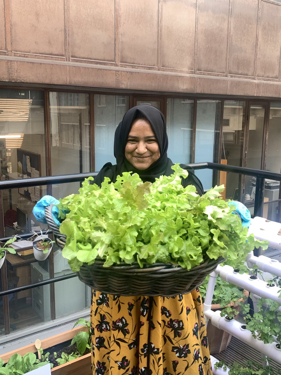 Cavendish Living Lab tweet media