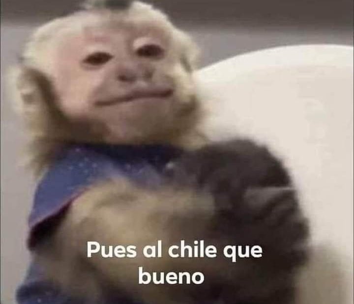 Dactaaaaaaarrrra!!! El paciente se va de alta voluntaria!

Yo: