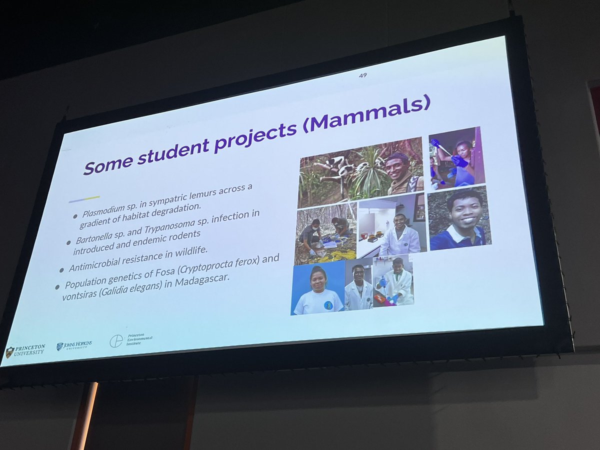 <a href="/Mahaliana_labs/">Mahaliana</a> advancing science and conservation in Madagascar! @Fidydvm #ICM13 “what keeps us hopeful for conservation in Madagascar is that we have curious students with the ability to conduct high quality research, and we are providing the tools and space”
