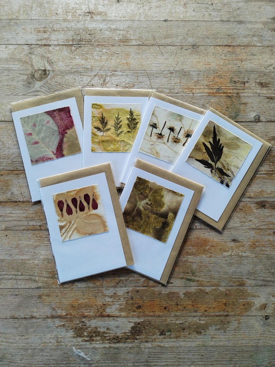 Make beautiful handmade keepsakes &amp; gifts at our botanical workshop (31 Aug-3rd Sept). We'll work outside &amp; use real fresh leaves &amp; flowers to print on peace silk or organic cotton. Learn the skills needed to make this a lifelong passion. theshielingproject.org/en/events/skil…