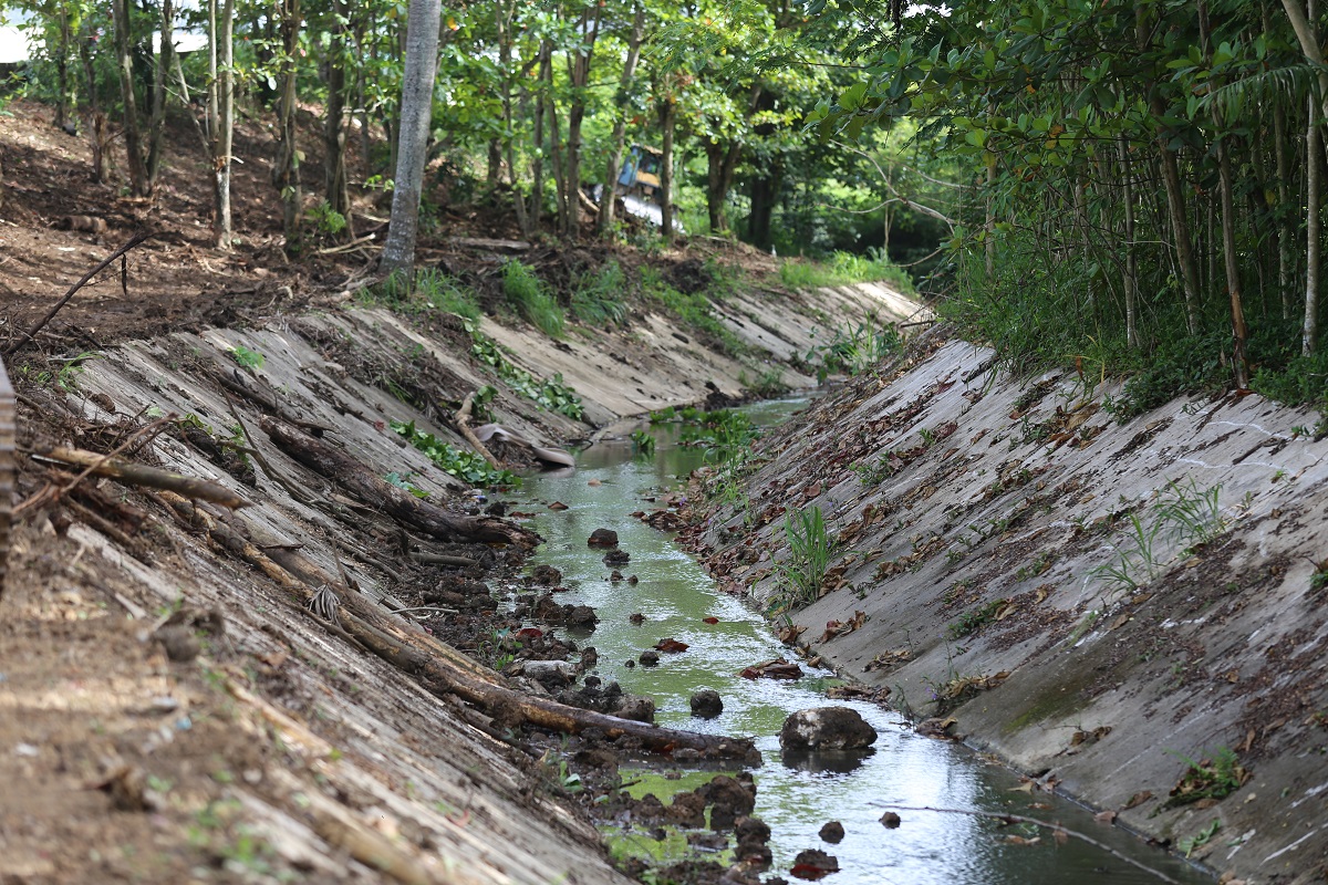 Municipio Guaynabo tweet media