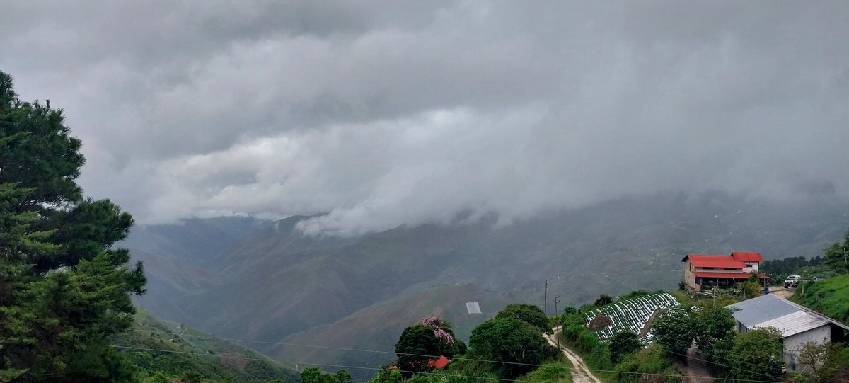 Yuly Schmuck (@yuschgru) on Twitter photo Quiero volver a Venezuela... 
Y no porqué me haya ido.
Quiero volver a la Venezuela libre, la Venezuela feliz, la Venezuela donde los sueños se hacían realidad. 
Quiero volver a aquella Venezuela qué por tan poco tiempo conocí. 💛💙❤️ Quiero volver a Venezuela... 
Y no porqué me haya ido.
Quiero volver a la Venezuela libre, la Venezuela feliz, la Venezuela donde los sueños se hacían realidad. 
Quiero volver a aquella Venezuela qué por tan poco tiempo conocí. 💛💙❤️
